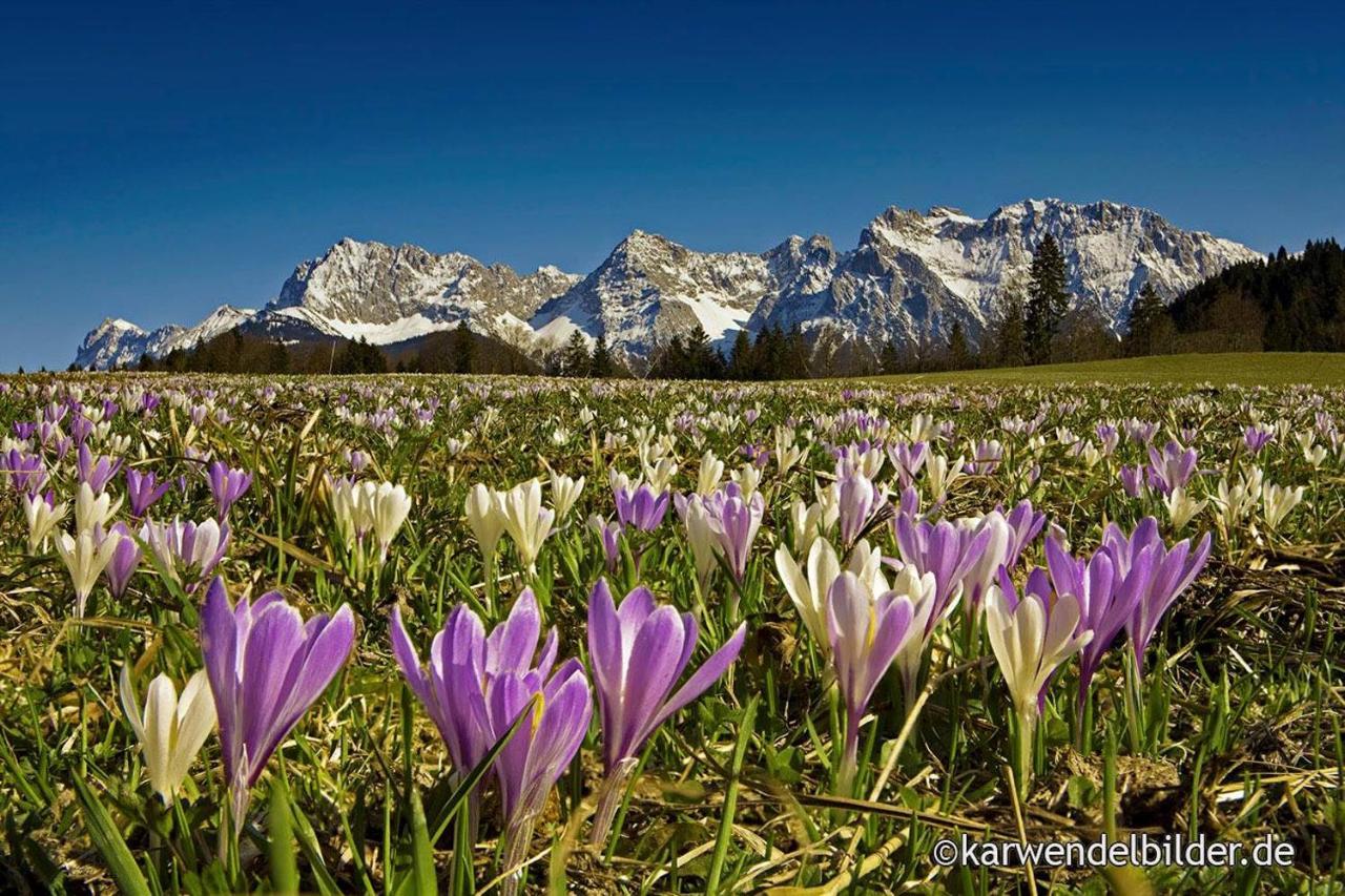 Ferienhotel Barmsee 크룬 외부 사진